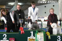 Ch. Oliver Modrý květ - BEST IN GROUP Lausanne 2007 - CACIB all breeds show !