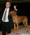 Vítězný pes se fotil s mnoha lidmi... tohle byl tuším zástupce sponzorů...