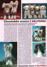 Článek o naší stanici z Haliparku ve Světě psů 12/2007